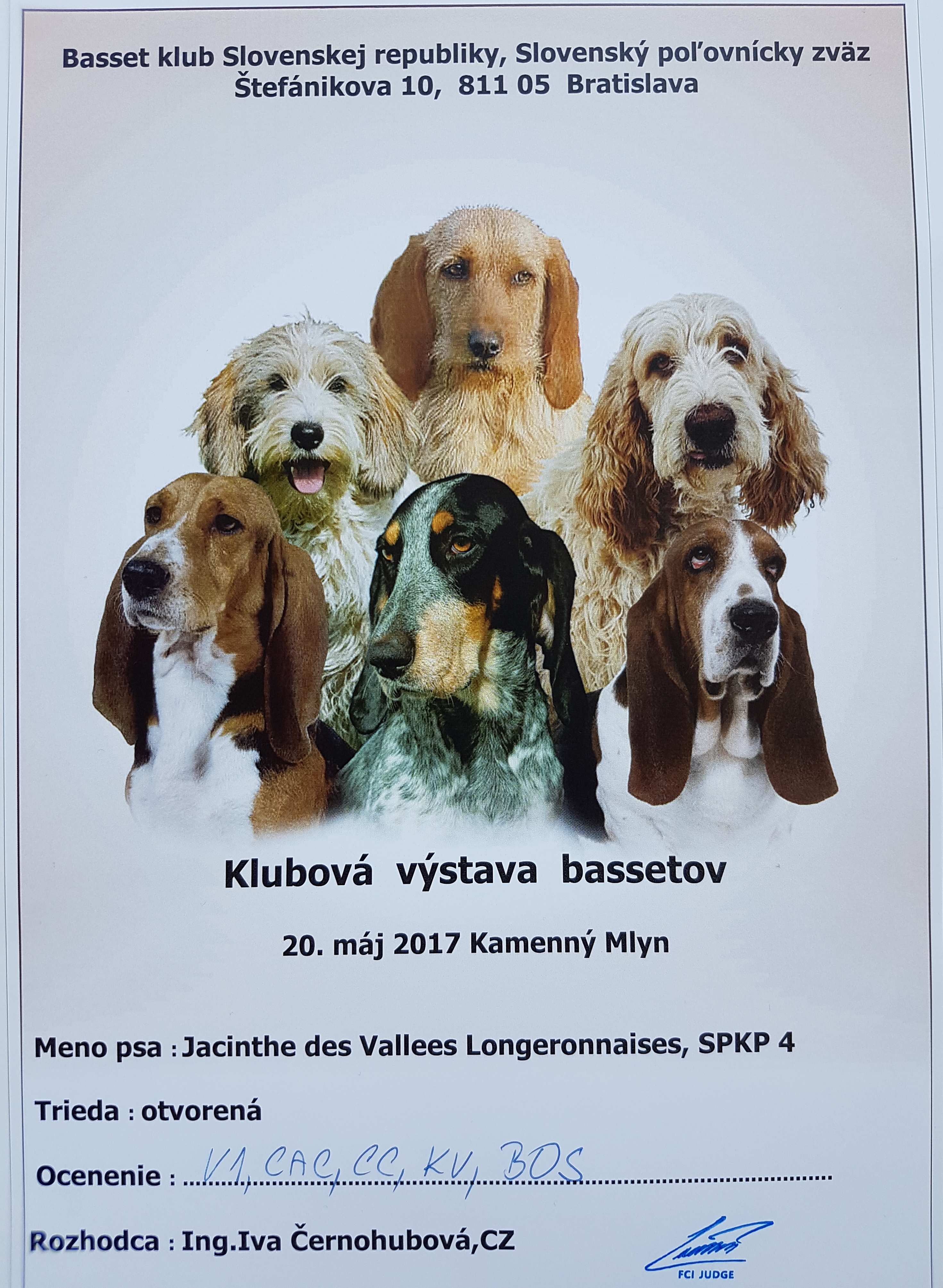 Modrý Gaskoňský baset poľovný pes diplom Slovensko šteňa víťaz plemena výstava